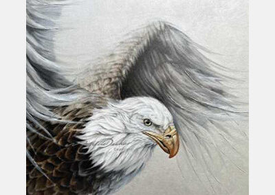 Windswept Wings