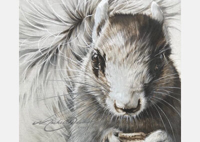 A Foxy Squirrel