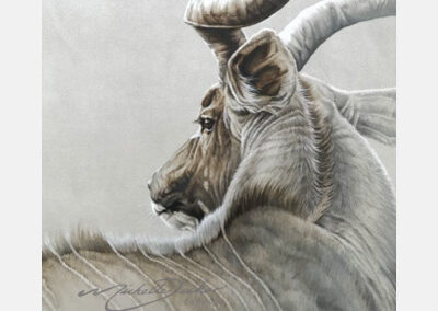 Kudu Crown
