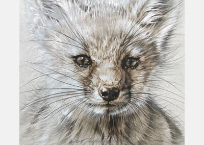 Feeling Foxed