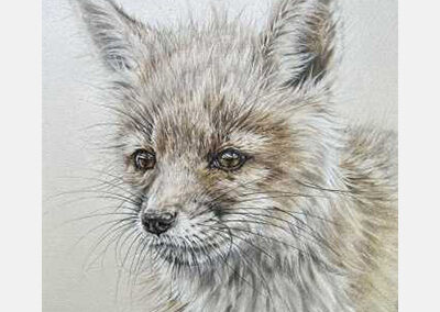 Furry Follower