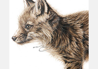Fox Trot