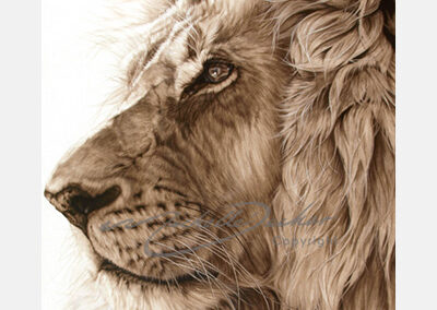Majesty
