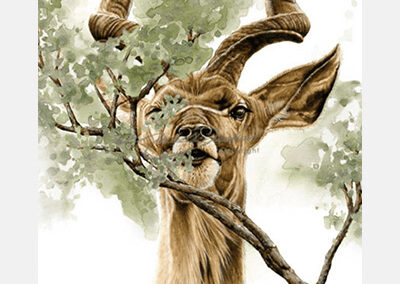 Beyond Branches