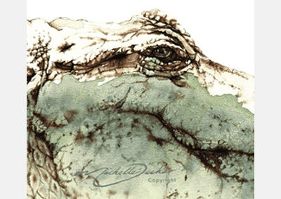 Swamp Secrets