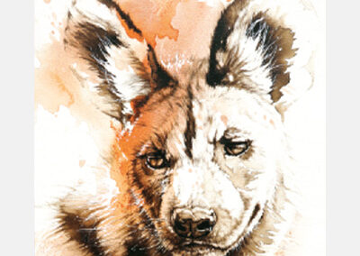 Dusty Dog