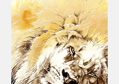 Larva Lion
